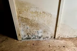 38 Indian Point Rd, Bar Harbor, ME 04609 - Photo 49