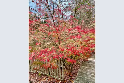 38 Indian Point Road, Bar Harbor, ME 04609 - Photo 59