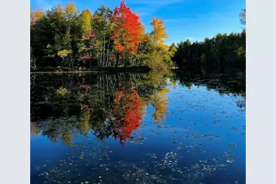 50 Island Road, Limerick, ME 04048 - Photo 49