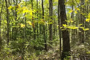 2 Bicknell Rd, Belmont, ME 04952 - Photo 1