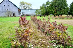 448 Elm St, Newport, ME 04953 - Photo 63