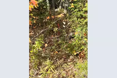 Xx S Meadow Road, Perry, ME 04667 - Photo 11