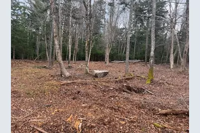 11 Quiet  Shore Road, Steuben, ME 04680 - Photo 11