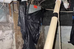 8 Pleasant St, Fryeburg, ME 04037 - Photo 11