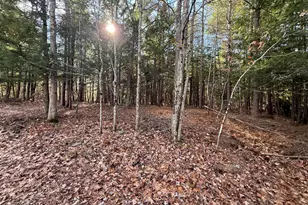 0 Mowry 0 Row Mowry Ln, Newfield, ME 04076 - Photo 1