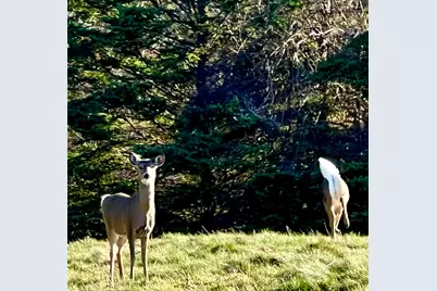 141 Beech Hill Road, Mount Desert, ME 04660 - Photo 107