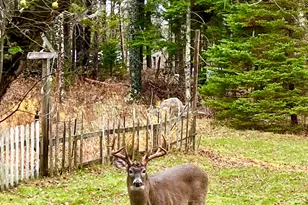 141 Beech Hill Rd, Mount Desert, ME 04660 - Photo 91