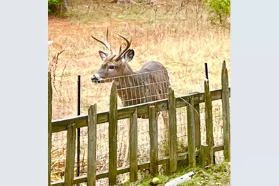 141 Beech Hill Road, Mount Desert, ME 04660 - Photo 111