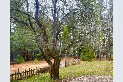 141 Beech Hill Road, Mount Desert, ME 04660 - Photo 93