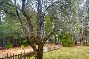 141 Beech Hill Rd, Mount Desert, ME 04660 - Photo 93