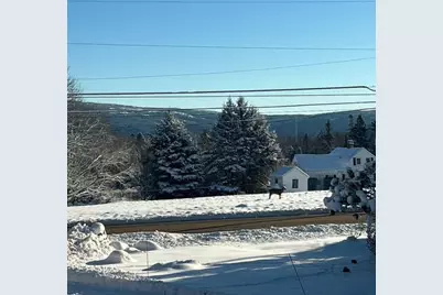 141 Beech Hill Road, Mount Desert, ME 04660 - Photo 21