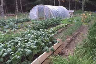 141 Beech Hill Rd, Mount Desert, ME 04660 - Photo 19