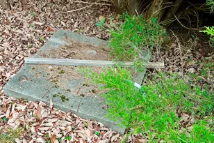 141 Beech Hill Rd, Mount Desert, ME 04660 - Photo 113