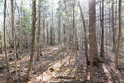 M7 L19-5 Pine Bluff Road, Embden, ME 04958 - Photo 5