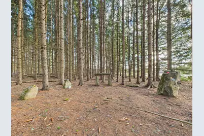 259 Old Washburn Road, Caribou, ME 04736 - Photo 5