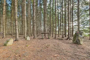 259 Old Washburn Rd, Caribou, ME 04736 - Photo 5