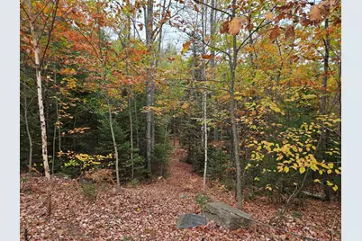 Mr11 L35 Burbank Hill Road, Avon, ME 04966 - Photo 39