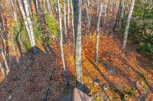 173 Mountain Rd, Denmark, ME 04022 - Photo 41