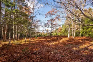 376 W Bay Rd, Islesboro, ME 04848 - Photo 3