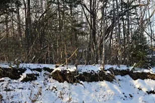 221 Brown Rd, Oakfield, ME 04763 - Photo 7