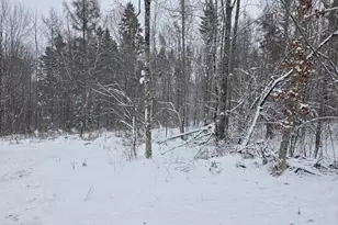 221 Brown Rd, Oakfield, ME 04763 - Photo 5