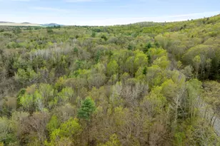 220 Bond Spring Rd, Newfield, ME 04095 - Photo 89