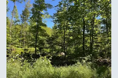 Lot 045 Sawyer Notch Road, Andover, ME 04216 - Photo 1