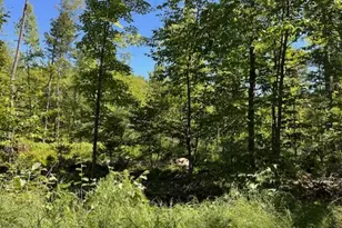 Lot 045 Sawyer Notch Rd, Andover, ME 04216 - Photo 1