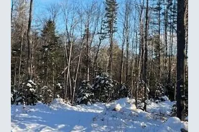 Lot 045 Sawyer Notch Road, Andover, ME 04216 - Photo 15