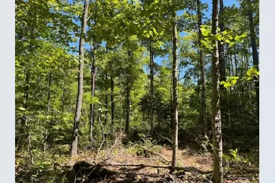 Lot 045 Sawyer Notch Road, Andover, ME 04216 - Photo 3