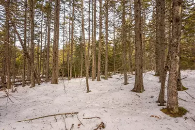 Lot 13 Nahanada Road, Bristol, ME 04554 - Photo 33