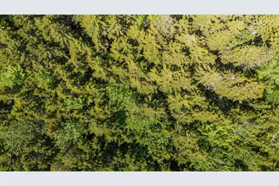 Lot 13 Nahanada Road, Bristol, ME 04554 - Photo 15