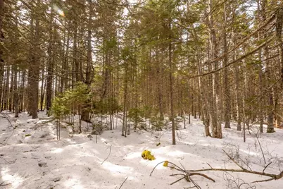 Lot 13 Nahanada Road, Bristol, ME 04554 - Photo 25