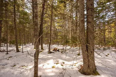 Lot 13 Nahanada Road, Bristol, ME 04554 - Photo 23