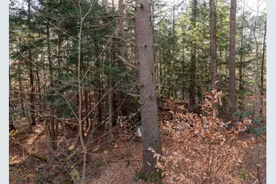 8 Western Avenue, Gorham, ME 04038 - Photo 55