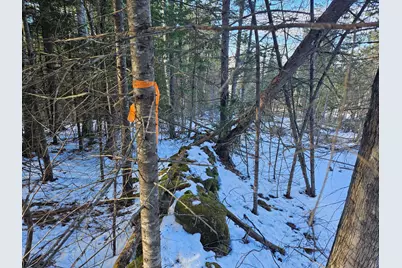 0 High Street, Peru, ME 04290 - Photo 59