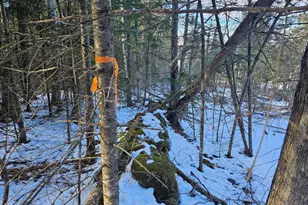 0 High St, Peru, ME 04290 - Photo 59