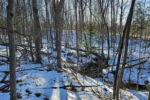 0 High St, Peru, ME 04290 - Photo 49