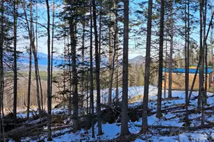 0 High St, Peru, ME 04290 - Photo 45