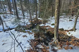 0 High St, Peru, ME 04290 - Photo 63