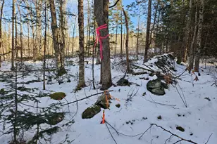 0 High St, Peru, ME 04290 - Photo 57