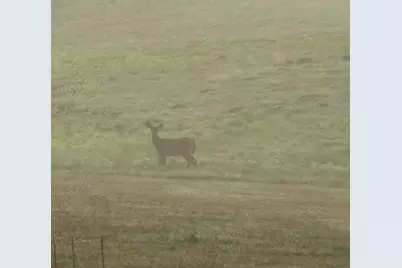 20 Buckfield Drive, Windham, ME 04062 - Photo 59