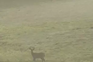 20 Buckfield Dr, Windham, ME 04062 - Photo 59