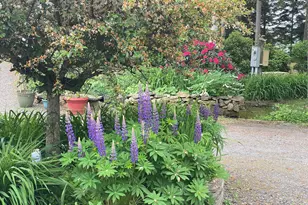 33 + 30 Taylor Rd, Westport, ME 04578 - Photo 63