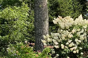 33 + 30 Taylor Rd, Westport, ME 04578 - Photo 65