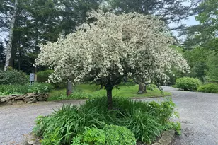 33 + 30 Taylor Rd, Westport, ME 04578 - Photo 61