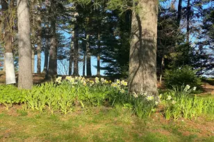 33 + 30 Taylor Rd, Westport, ME 04578 - Photo 65