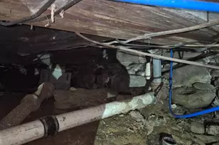 3327 Military Rd, Haynesville, ME 04497 - Photo 29