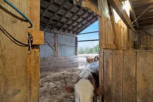 68 Dunn Rd, Dexter, ME 04930 - Photo 67