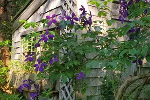 489 Back Rd, Skowhegan, ME 04976 - Photo 65